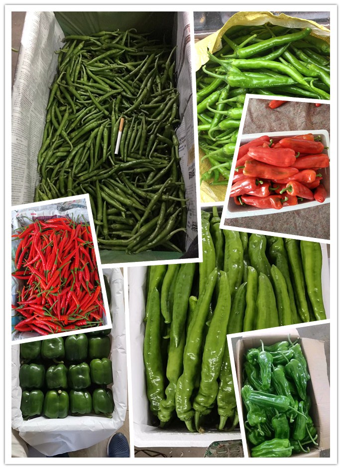 AG真人国际(中国) - 官方网站