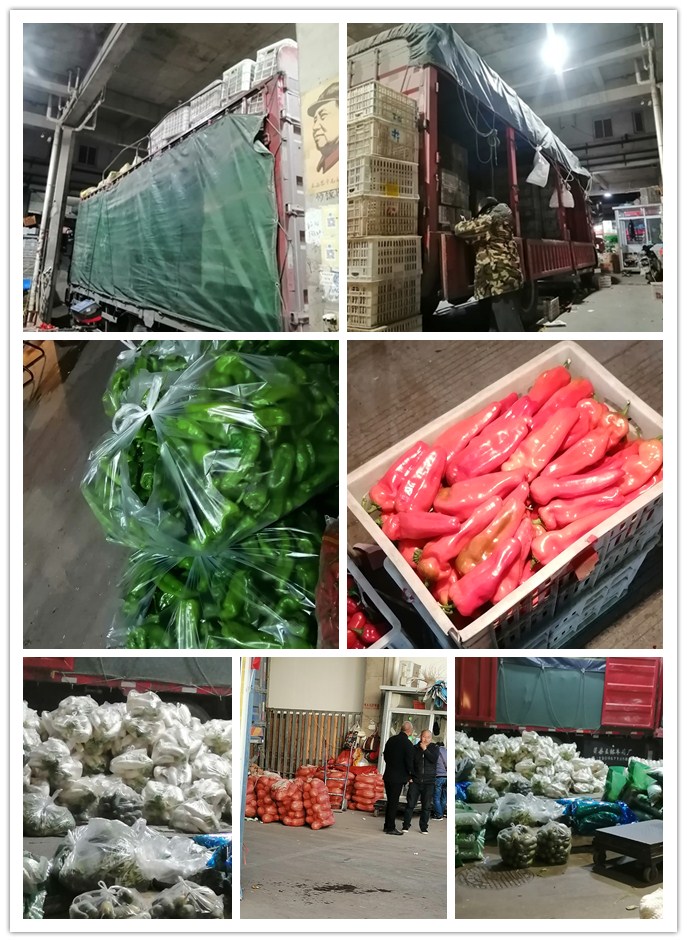 AG真人国际(中国) - 官方网站