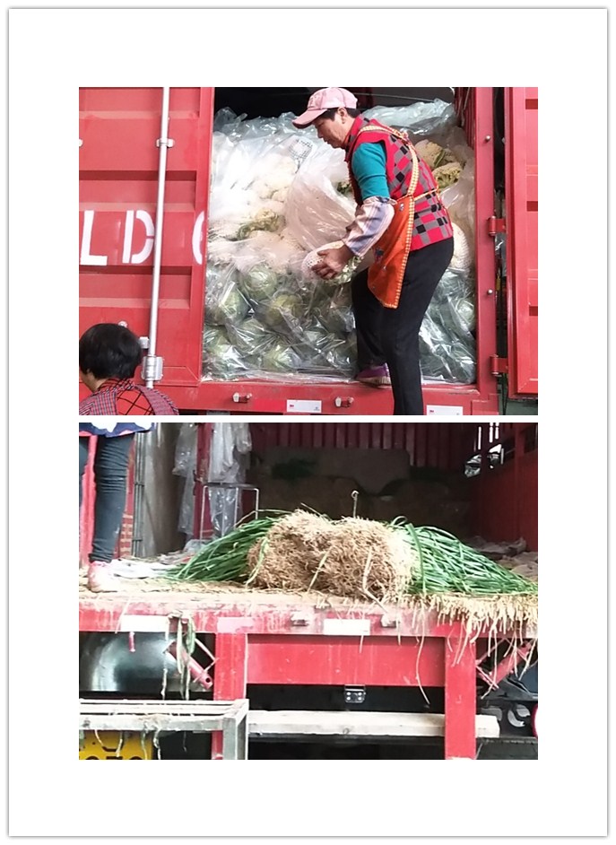 AG真人国际(中国) - 官方网站