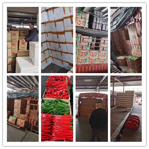 AG真人国际(中国) - 官方网站