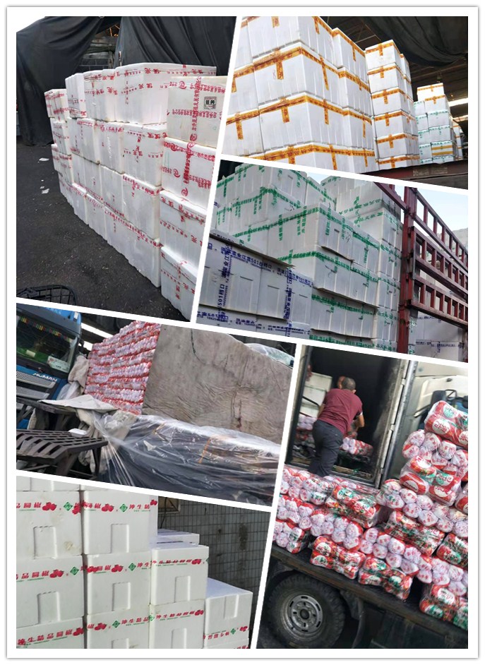 AG真人国际(中国) - 官方网站