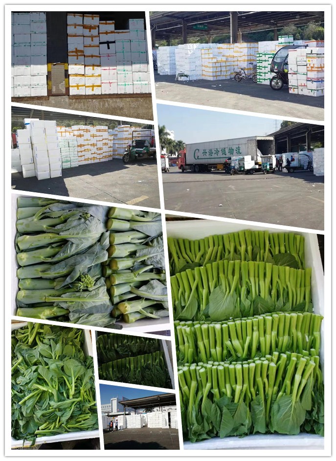 AG真人国际(中国) - 官方网站