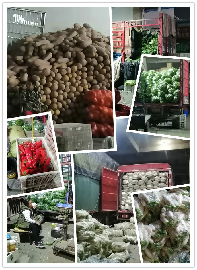 AG真人国际(中国) - 官方网站