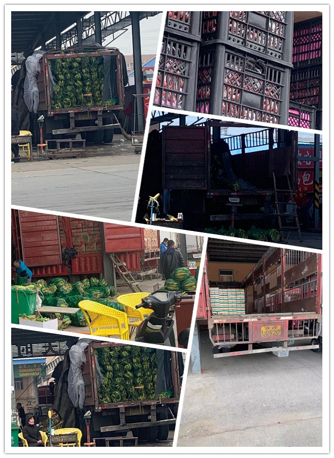 AG真人国际(中国) - 官方网站