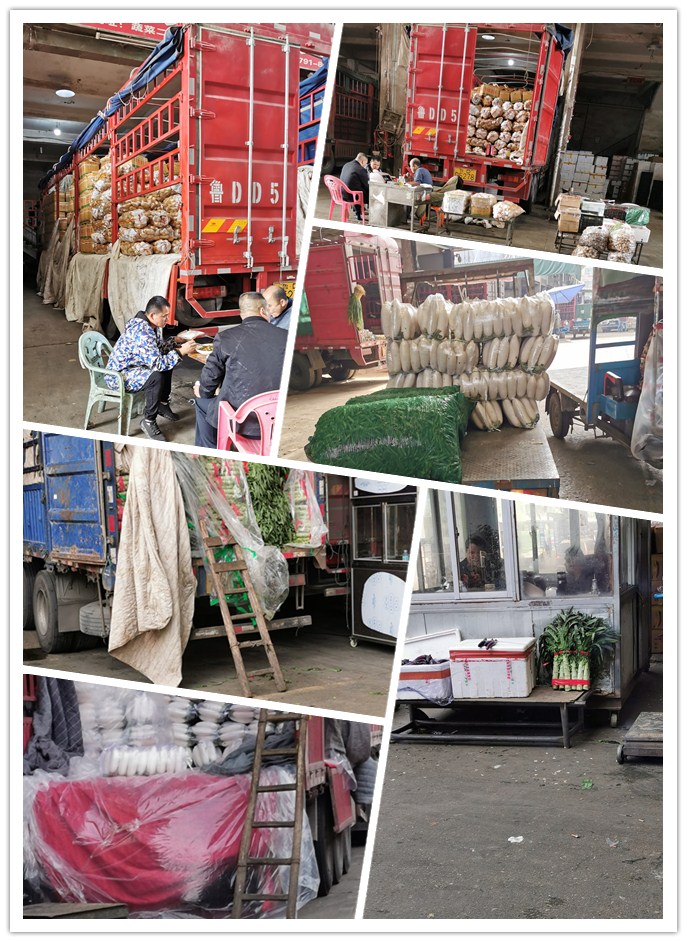 AG真人国际(中国) - 官方网站