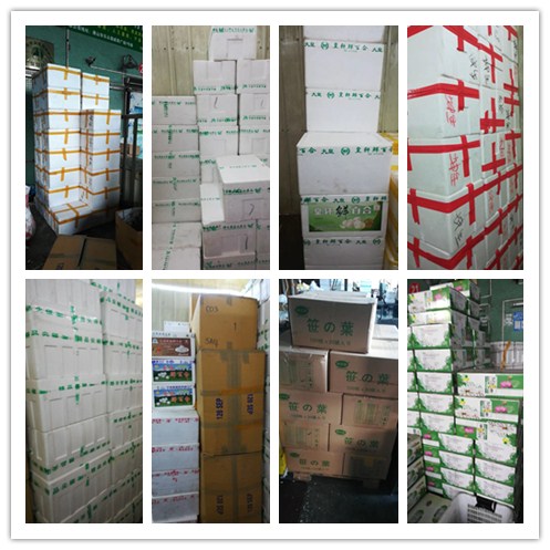 AG真人国际(中国) - 官方网站