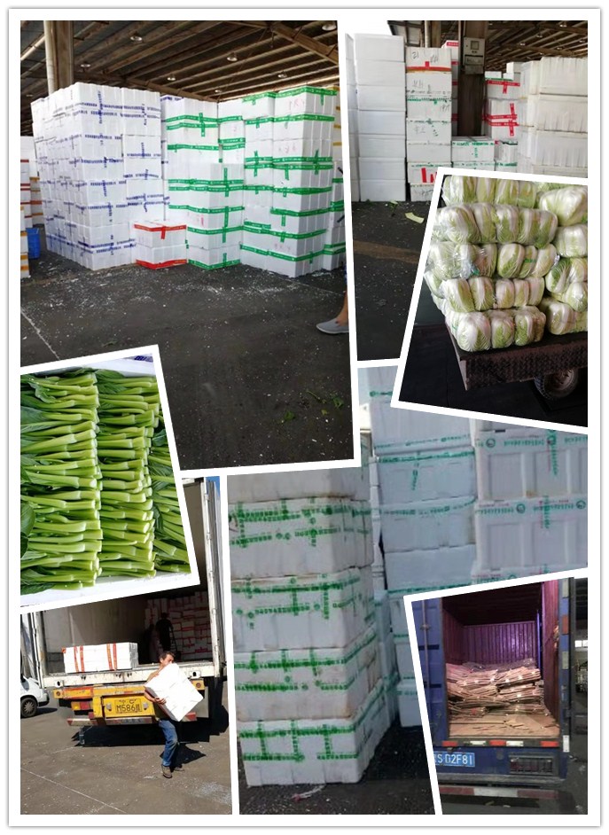 AG真人国际(中国) - 官方网站