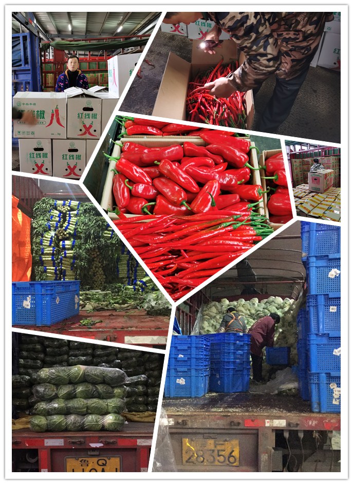 AG真人国际(中国) - 官方网站