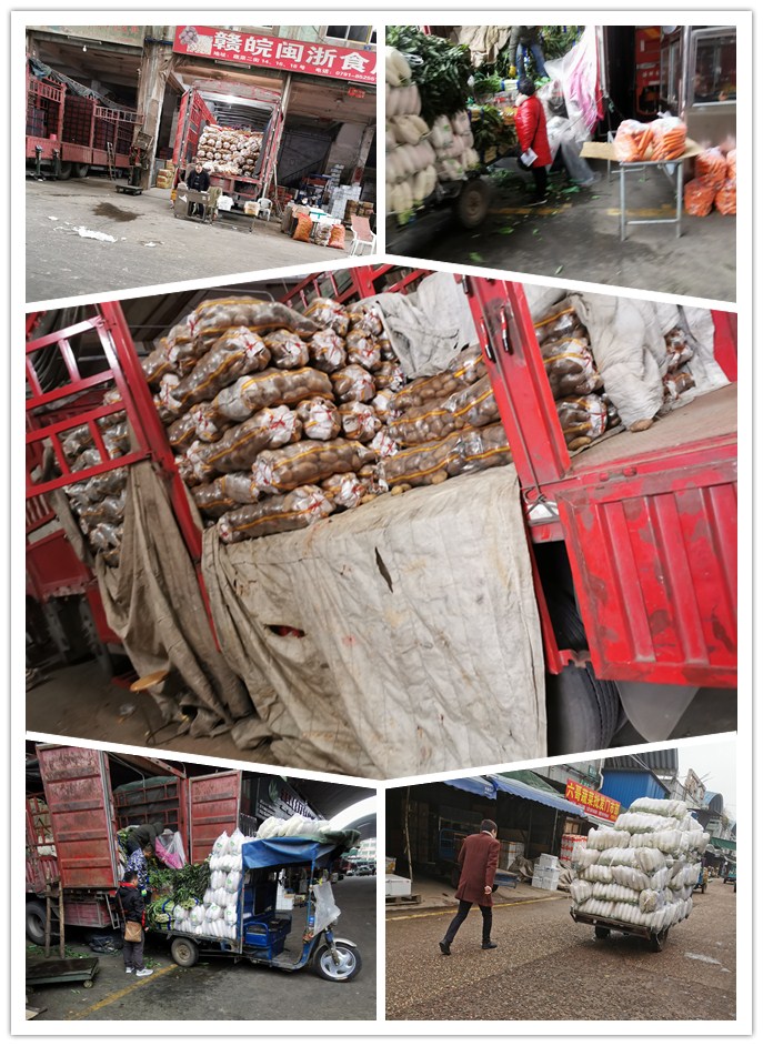 AG真人国际(中国) - 官方网站