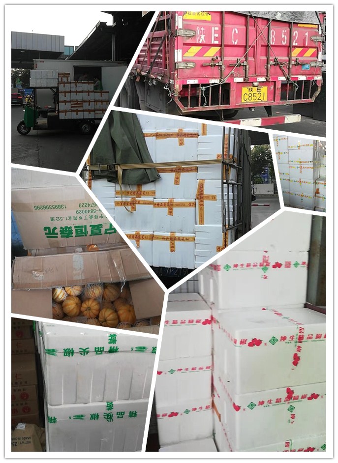 AG真人国际(中国) - 官方网站