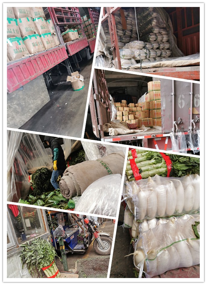 AG真人国际(中国) - 官方网站