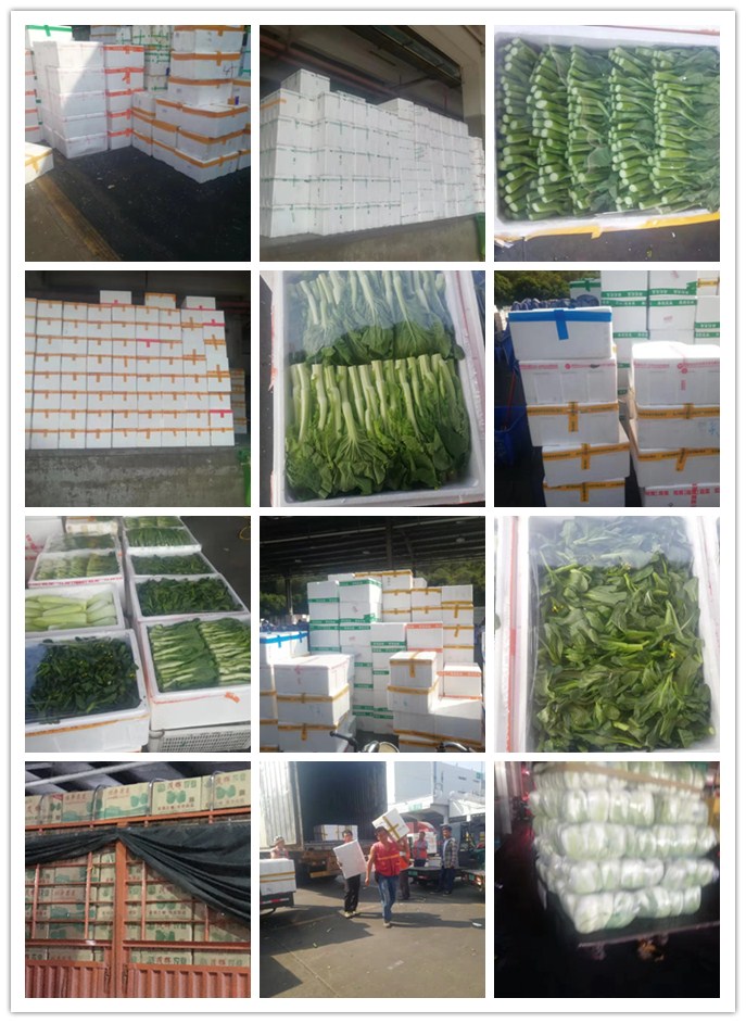 AG真人国际(中国) - 官方网站