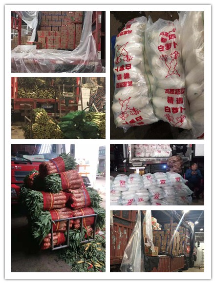 AG真人国际(中国) - 官方网站