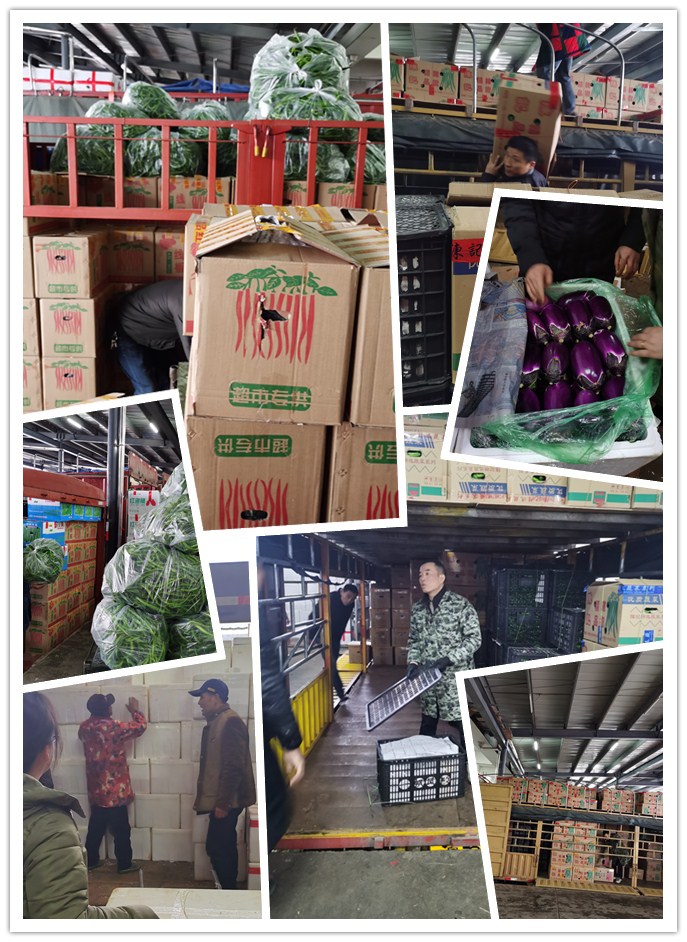 AG真人国际(中国) - 官方网站