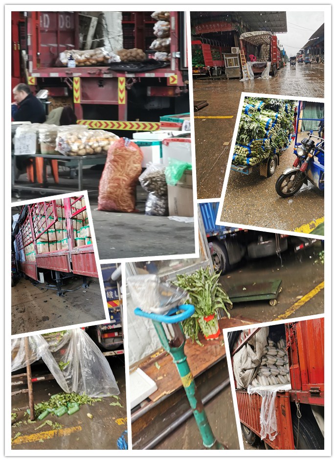 AG真人国际(中国) - 官方网站