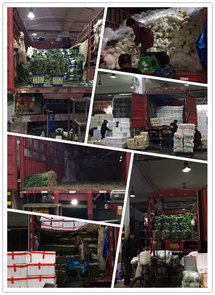 AG真人国际(中国) - 官方网站