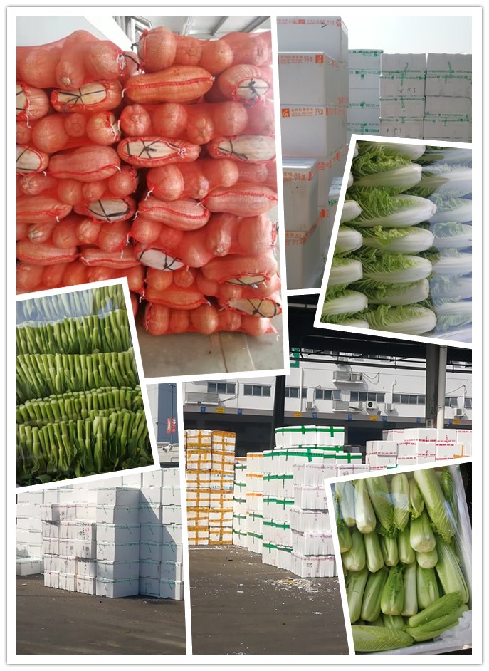 AG真人国际(中国) - 官方网站