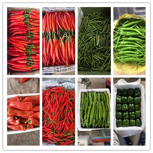 AG真人国际(中国) - 官方网站