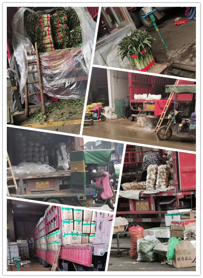 AG真人国际(中国) - 官方网站