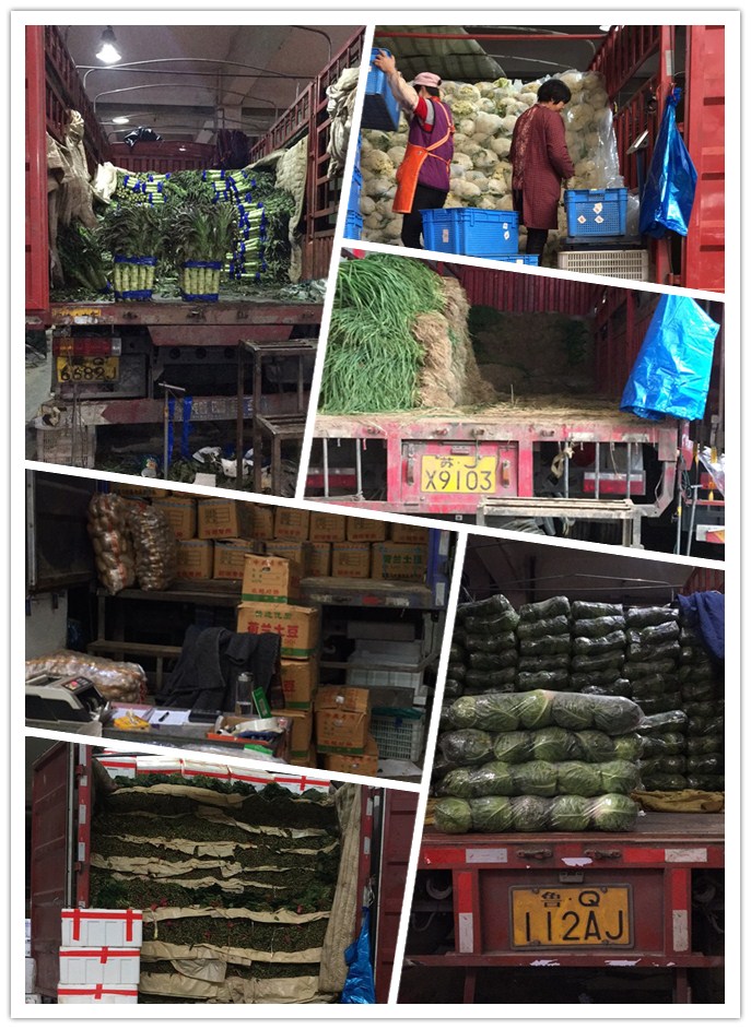 AG真人国际(中国) - 官方网站