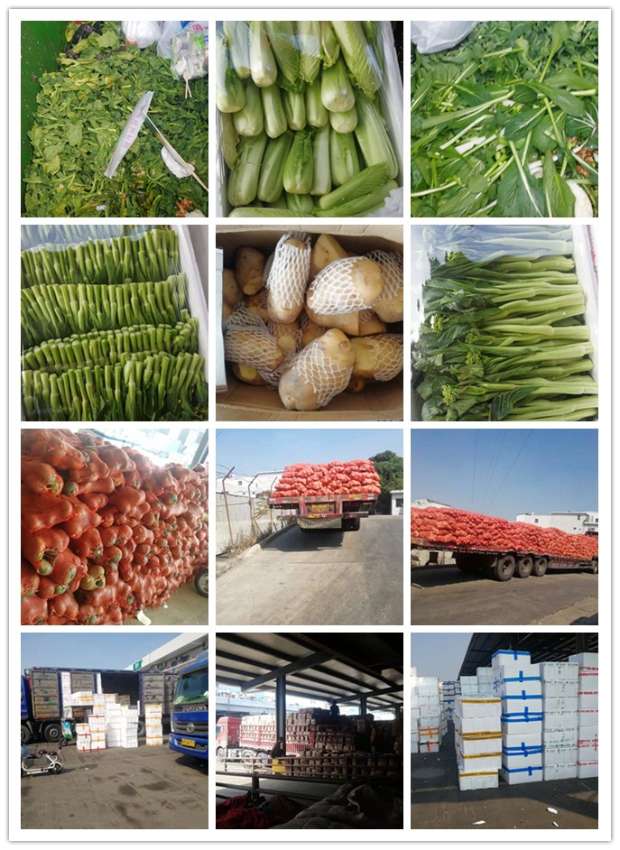 AG真人国际(中国) - 官方网站