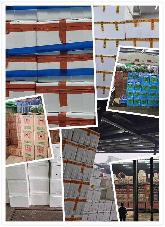 AG真人国际(中国) - 官方网站