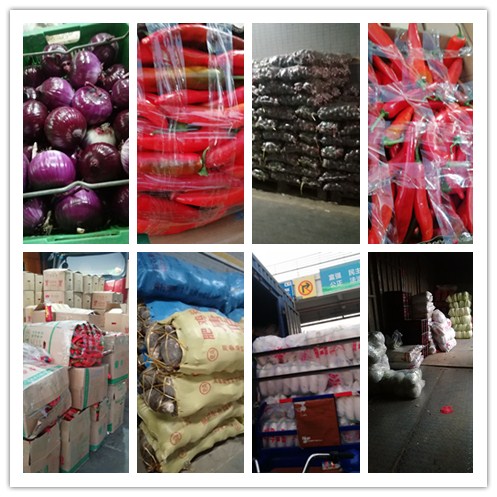 AG真人国际(中国) - 官方网站