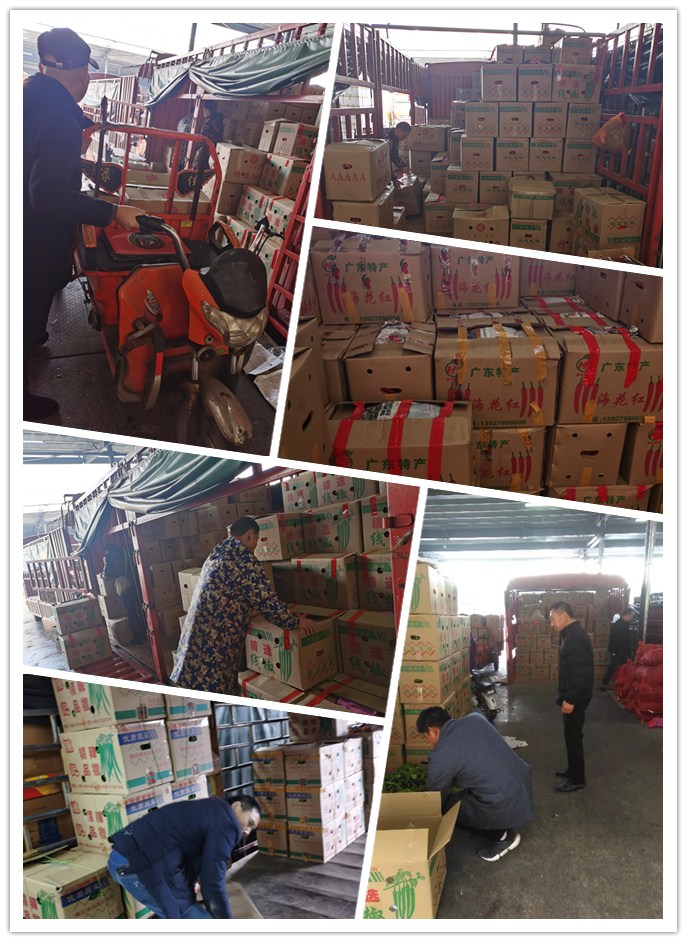 AG真人国际(中国) - 官方网站