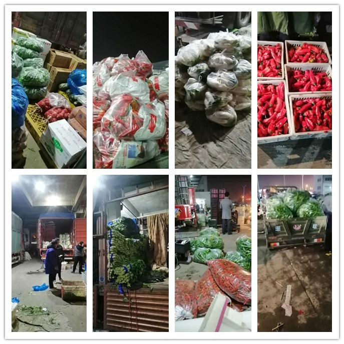 AG真人国际(中国) - 官方网站