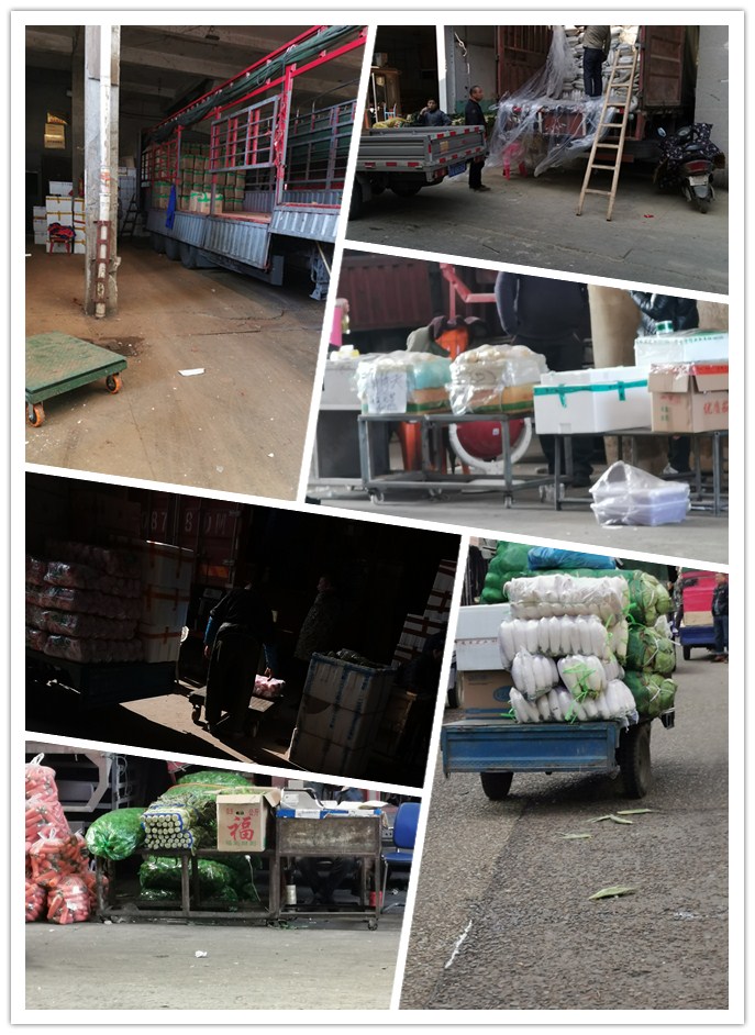 AG真人国际(中国) - 官方网站