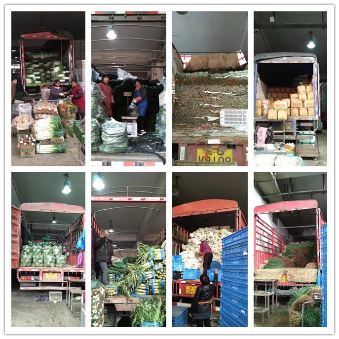 AG真人国际(中国) - 官方网站