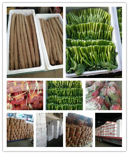 AG真人国际(中国) - 官方网站