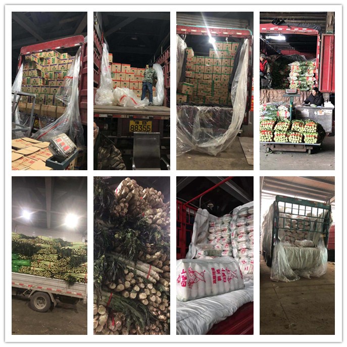 AG真人国际(中国) - 官方网站