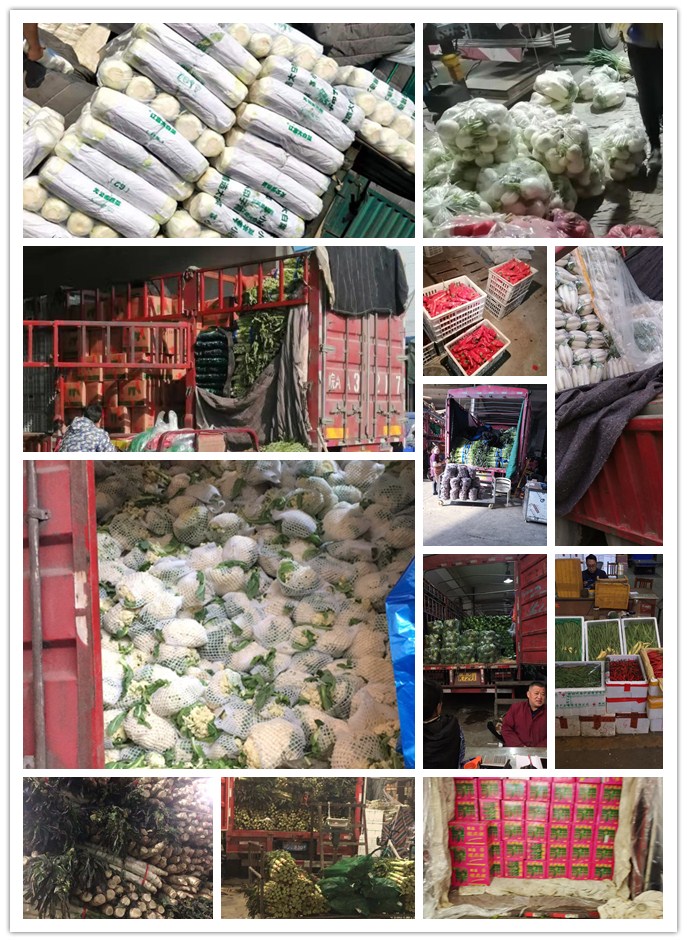 AG真人国际(中国) - 官方网站