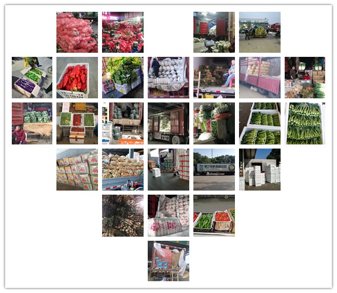 AG真人国际(中国) - 官方网站