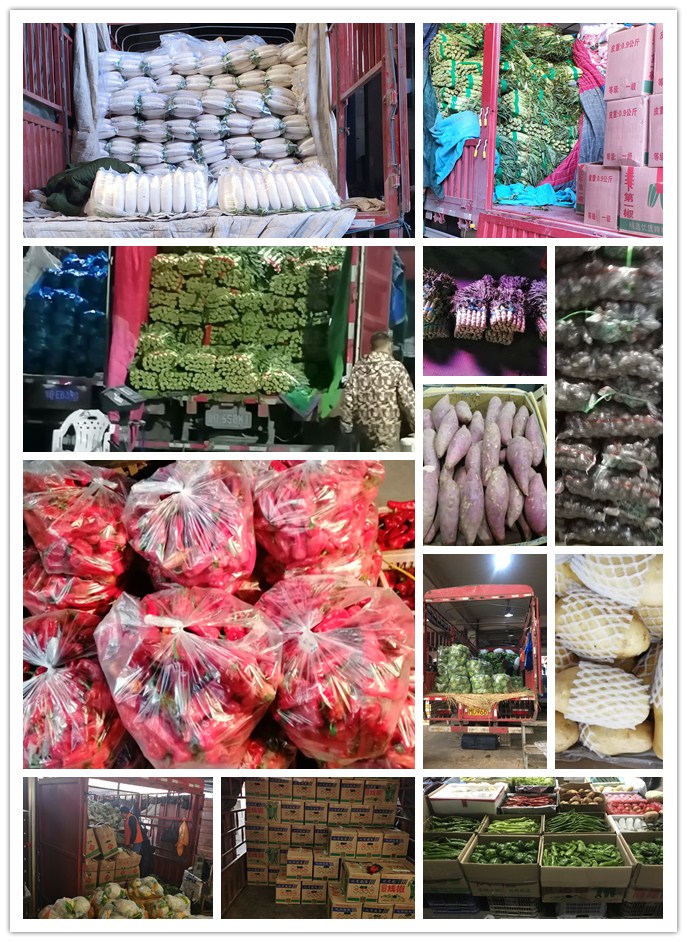 AG真人国际(中国) - 官方网站