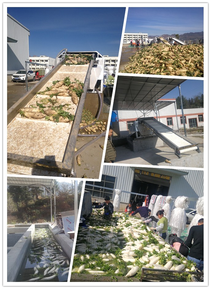 AG真人国际(中国) - 官方网站