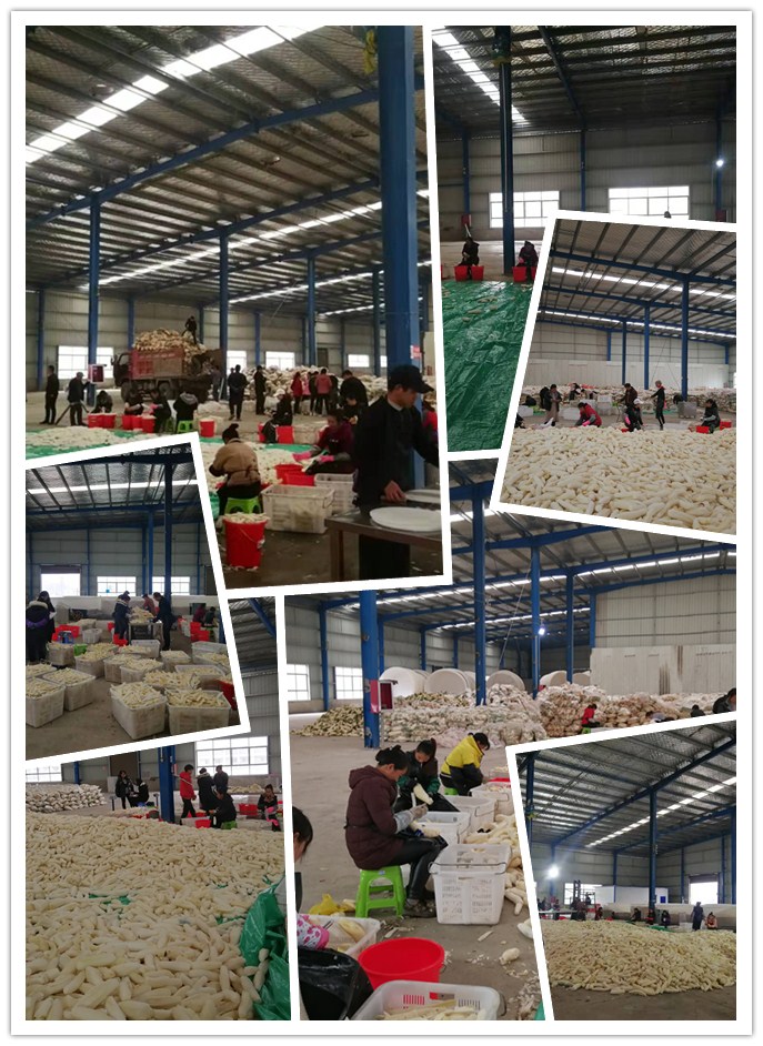 AG真人国际(中国) - 官方网站