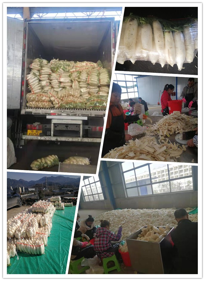 AG真人国际(中国) - 官方网站