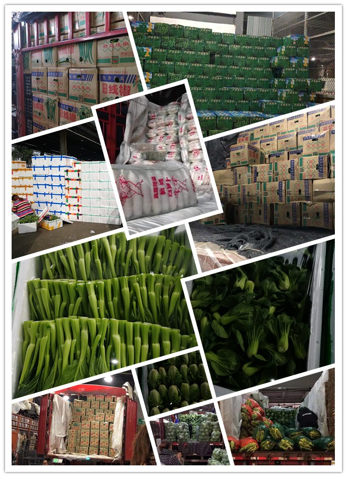 AG真人国际(中国) - 官方网站