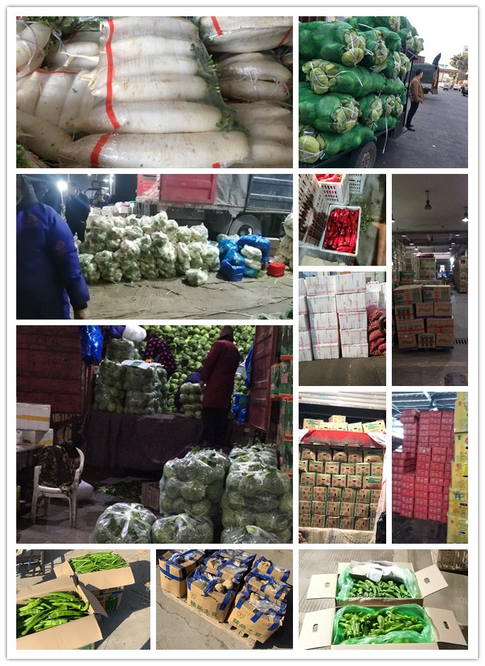 AG真人国际(中国) - 官方网站