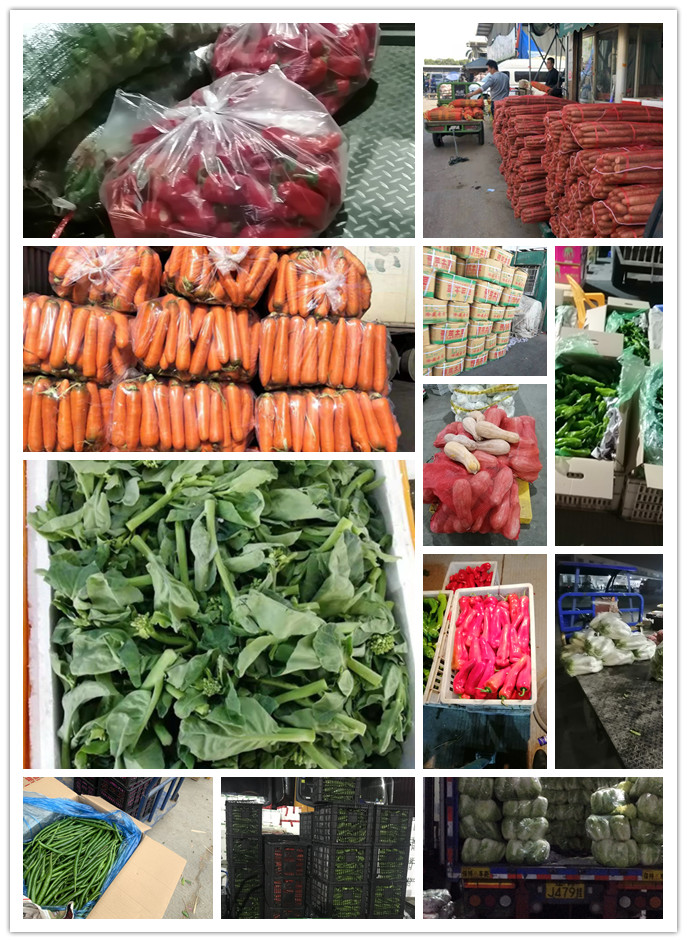 AG真人国际(中国) - 官方网站