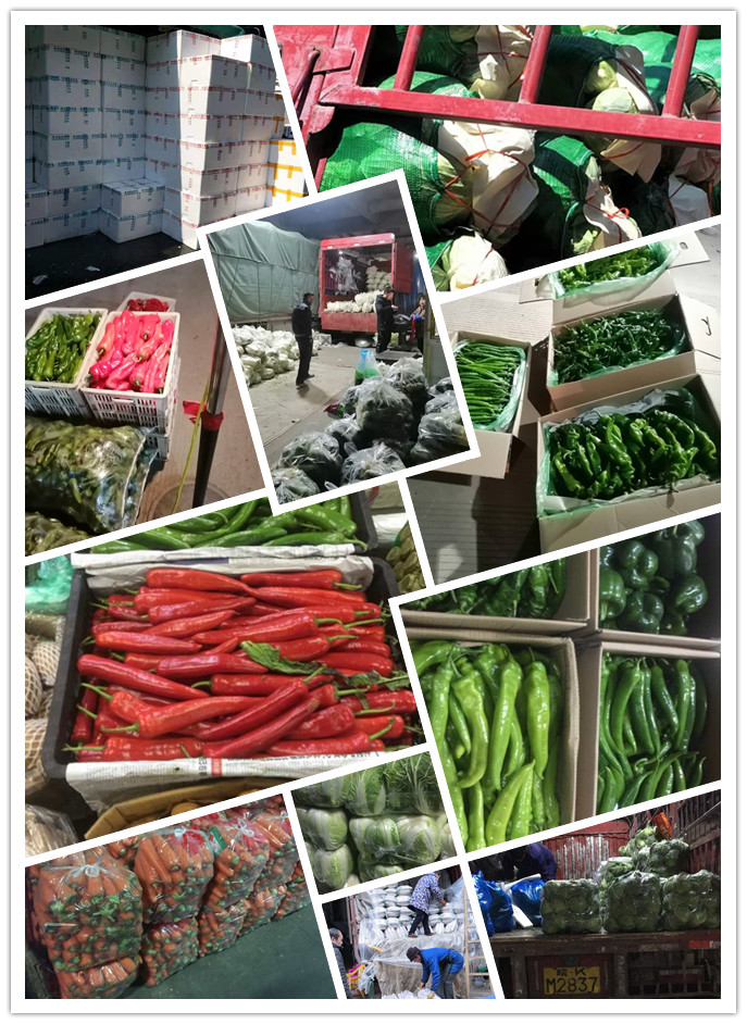 AG真人国际(中国) - 官方网站