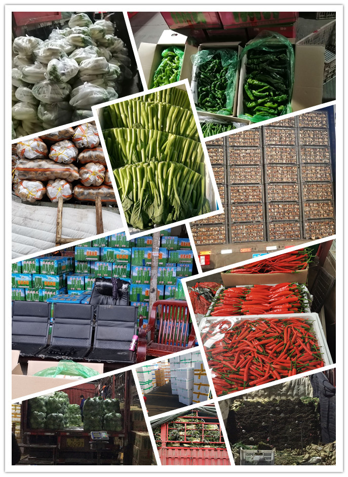 AG真人国际(中国) - 官方网站