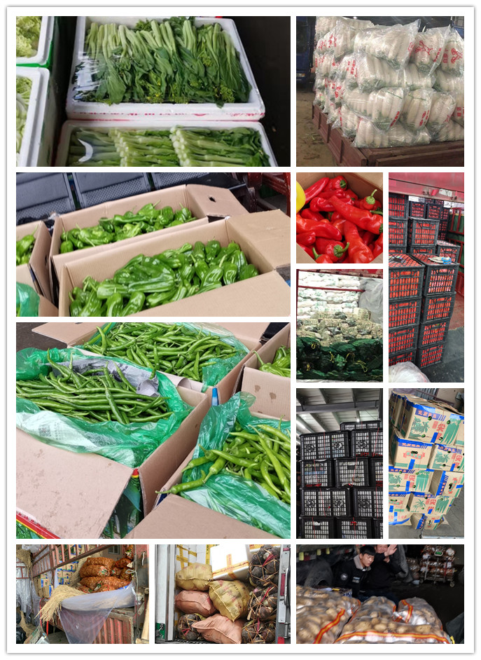 AG真人国际(中国) - 官方网站