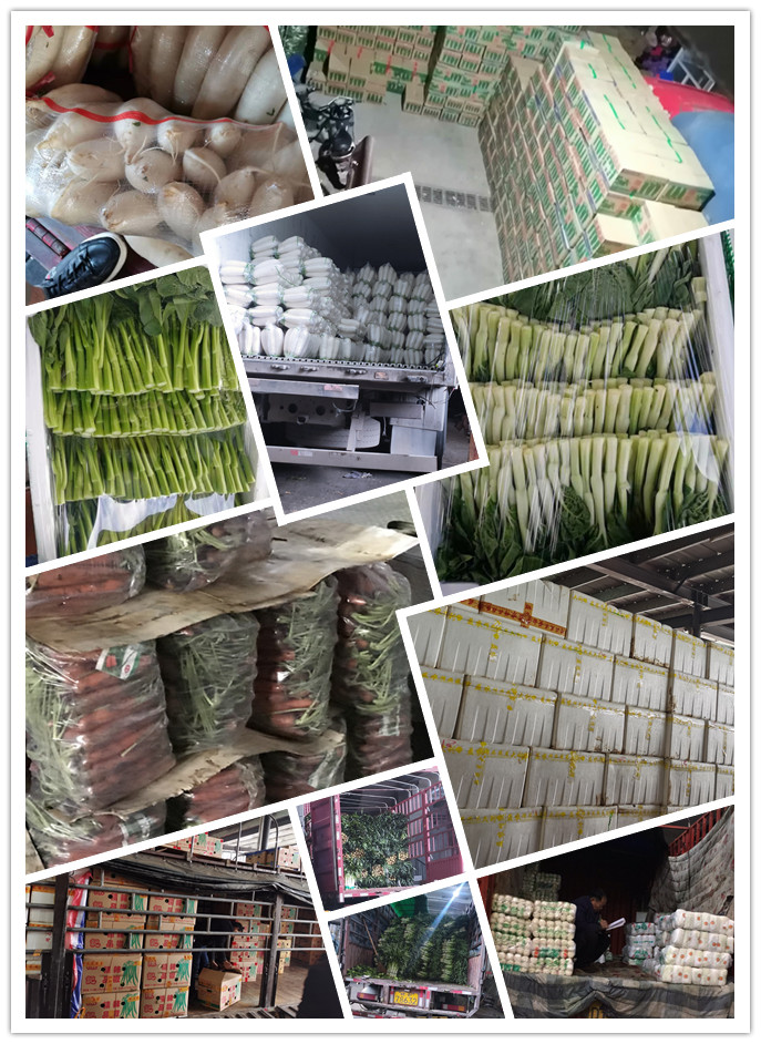 AG真人国际(中国) - 官方网站