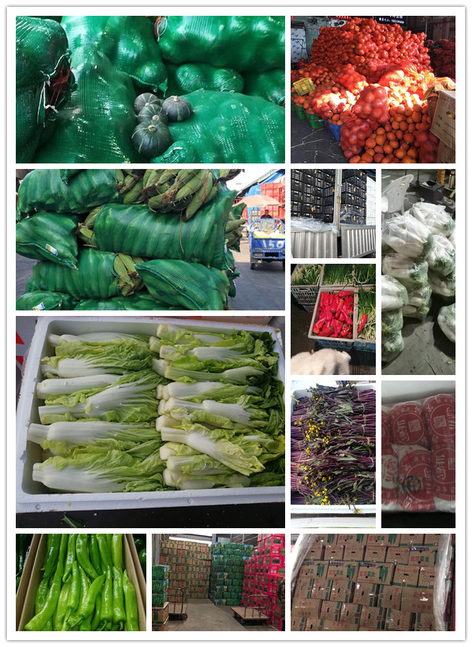 AG真人国际(中国) - 官方网站