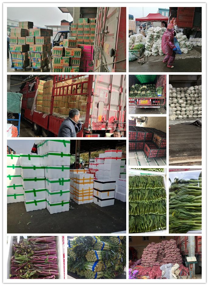 AG真人国际(中国) - 官方网站