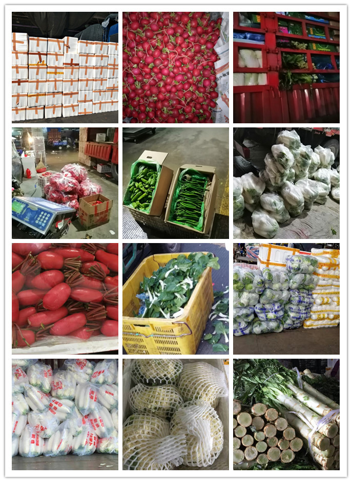 AG真人国际(中国) - 官方网站