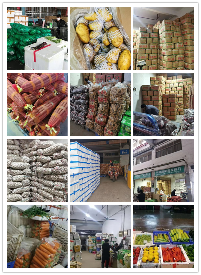 AG真人国际(中国) - 官方网站